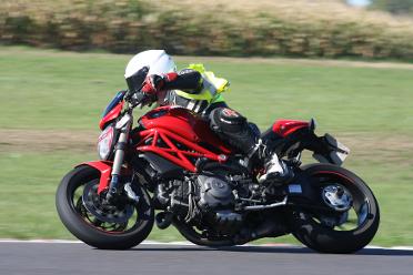 Herman Monster 1100